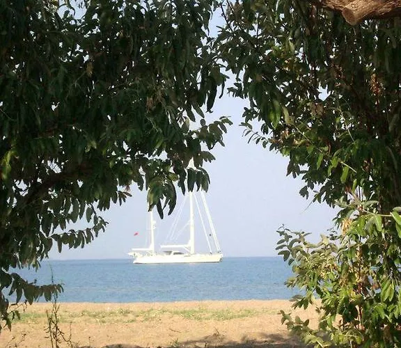 Sunset 3* Дикили